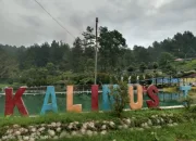 Wisata Kalimus Tegal, Pesona Keindahan Alam dengan Berbagai Spot Menarik