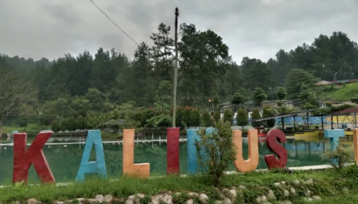Wisata Kalimus Tegal, Pesona Keindahan Alam dengan Berbagai Spot Menarik