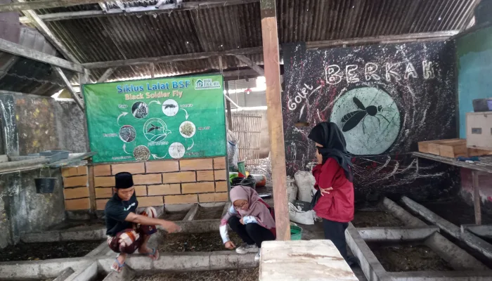 Optimalisasi Limbah Organik melalui Budidaya Maggot