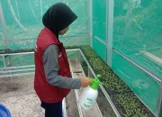 Revitalisasi Hidroponik oleh Mahasiswa KKN: Langkah Positif untuk Pertanian Berkelanjutan