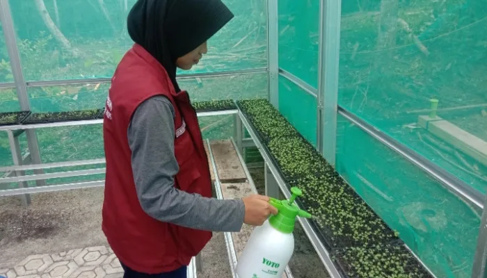 Revitalisasi Hidroponik oleh Mahasiswa KKN: Langkah Positif untuk Pertanian Berkelanjutan