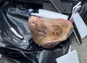 Bentuk Teror Terhadap Media, Kantor Tempo Dapat Kiriman Potongan Kepala Babi