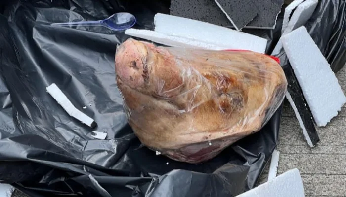 Bentuk Teror Terhadap Media, Kantor Tempo Dapat Kiriman Potongan Kepala Babi