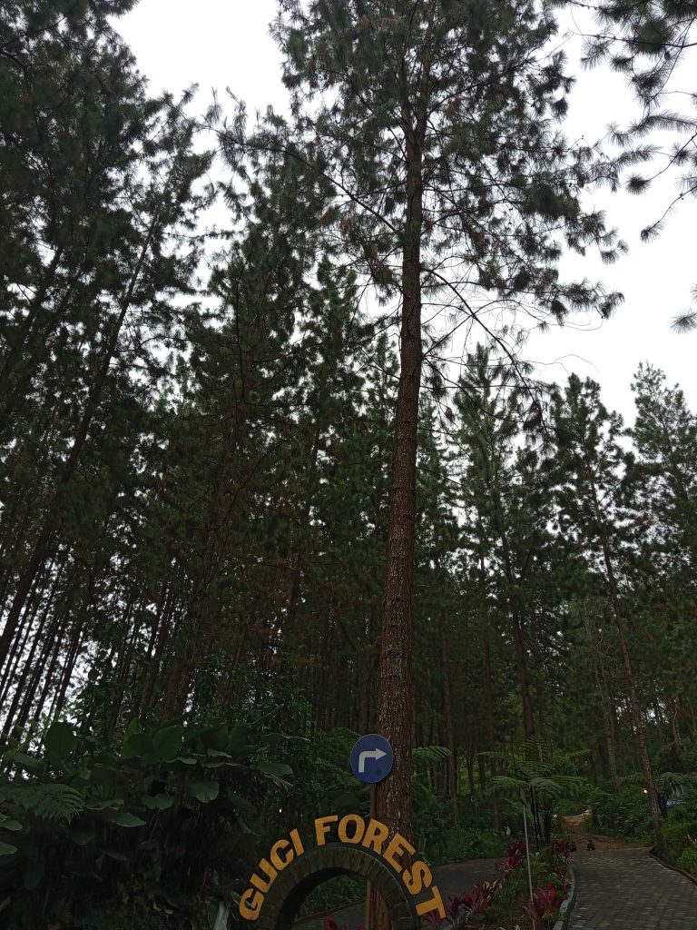 IMG-20250423-WA0005