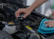 Beberapa Masalah pada Radiator Mobil Sering Mengganggu Perjalanan, Berikut Cara Mengatasinya