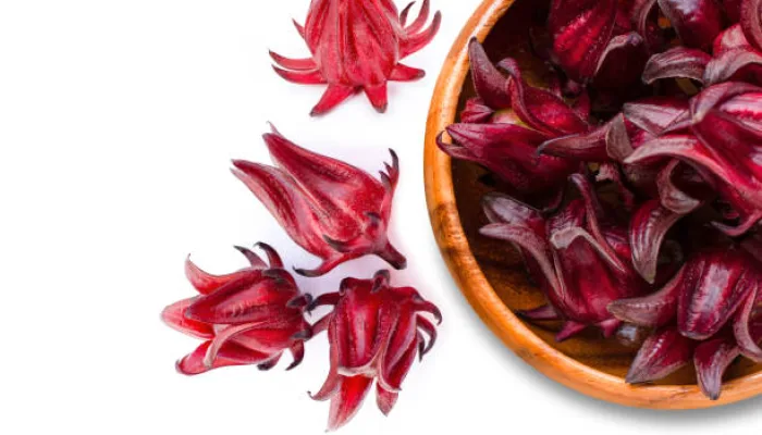 Rosella, Si Bunga Cantik Penuh Khasiat untuk Kesehatan