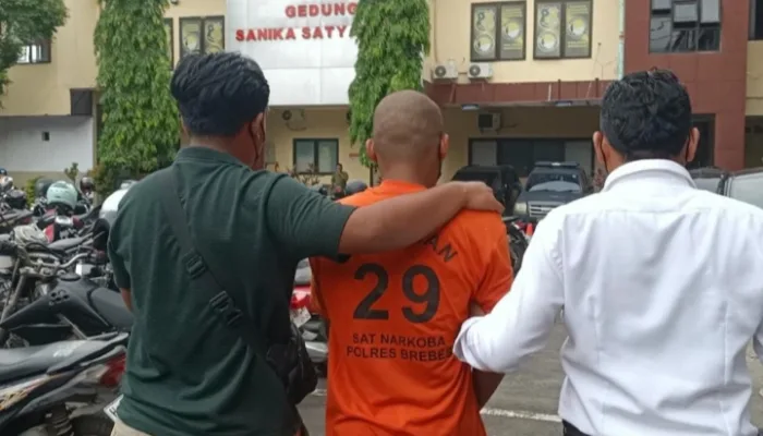 Jual Tembakau Sintetis, Warga Desa Cikakak Dibekuk Sat Resnarkoba Polres Brebes