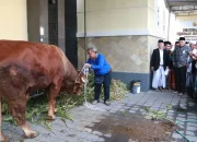 Umat Islam Laksanakan Sholat Idul Adha di Masjid Agung Hingga Bundaran Alun-Alun Kota Tegal