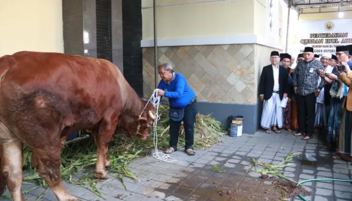 Umat Islam Laksanakan Sholat Idul Adha di Masjid Agung Hingga Bundaran Alun-Alun Kota Tegal