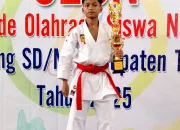 Sandya Riski Akmal Juara 1 O2SN Kabupaten Tegal Cabor Karate