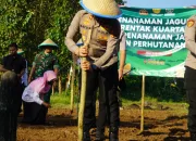 Polres Tegal Gandeng Petani dan Perhutani Tanam Jagung, Dukung Ketahanan Pangan Nasional