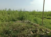 Jerat Mafia Tanah di Daerah, Bagai Benalu yang Menghambat Pembangunan dan Keadilan