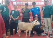 Unik, Seekor Kambing Hadiah Lomba Agustusan Untuk Warga Jalan Tanjung