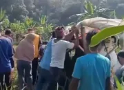 Pesawat TNI AU Jatuh di Tengah Aksi Manuver, Mantan Kadispen TNI AU Tewas