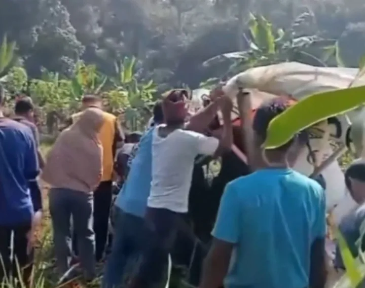 Pesawat TNI AU jatuh di Bogor
