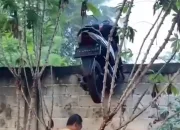 Heboh! Motor Nyangkut di Atas Pagar Beton Warga Lampung, Diduga Ulah Curanmor Gagal