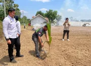 340 Ribu Bibit Kelapa Ditanam dari Balik Lapas, Siap Jadi Penopang Ketahanan Pangan Nasional