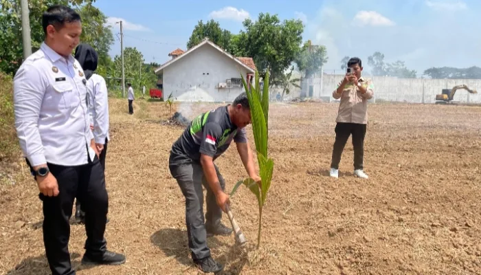 340 Ribu Bibit Kelapa Ditanam dari Balik Lapas, Siap Jadi Penopang Ketahanan Pangan Nasional