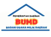 Menakar Kinerja Panitia Seleksi Direksi BUMD: Transparansi, Profesionalisme, dan Tantangan