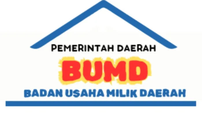 Menakar Kinerja Panitia Seleksi Direksi BUMD: Transparansi, Profesionalisme, dan Tantangan