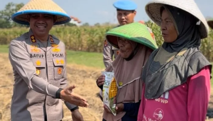 Kapolres Tegal Turun Tangan Tanam 1 Hektar Jagung, Ini Tujuannya