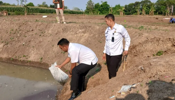 Tebar 12.000 Benih Ikan Nila, Lapas Slawi Sulap Kolam SAE Jadi Lumbung Harapan Warga Binaan