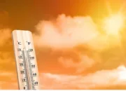 Sengatan Panas Ekstrem, BMKG Ungkap Transisi Musim yang Bikin Suhu Mencekik