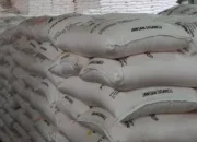 Reformasi Total Pupuk Subsidi 2025, Penyaluran Cukup Pakai KTP