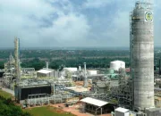 Presiden Prabowo Concern Swasembada Pangan, Pupuk Subsidi di Tegal Berlimpah Capai 92 Persen