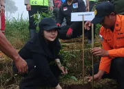 Cegah Bencana, Bupati Brebes Tanam Pohon di Petak 24 RPH Kretek