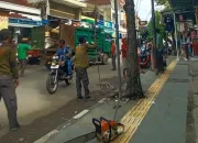 DLH Brebes Gercep Tangani Aduan Warga, Benahi Pohon Tua di Trotoar Kota