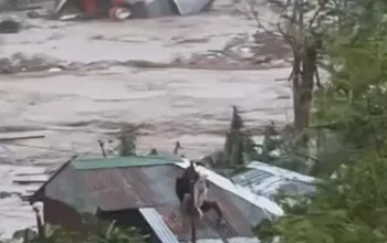 Pusdatin BNPB, Rincian Jumlah Korban Jiwa Banjir Sumatera per Provinsi