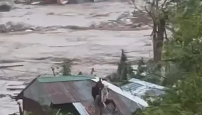 Pusdatin BNPB, Rincian Jumlah Korban Jiwa Banjir Sumatera per Provinsi