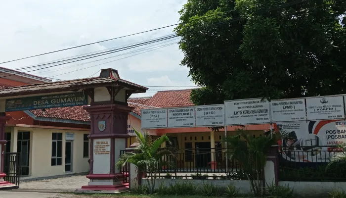 Lingkaran Pendamping Desa Disorot, Program Ketahanan Pangan Gumayun Diduga Sarat Penyimpangan