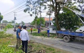 Lapas Slawi dan DLH Kabupaten Tegal Antisipasi Risiko Pohon Tumbang di Area Publik