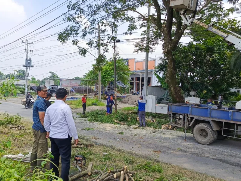 Lapas Slawi dan DLH Kabupaten Tegal Antisipasi Risiko Pohon Tumbang di Area Publik