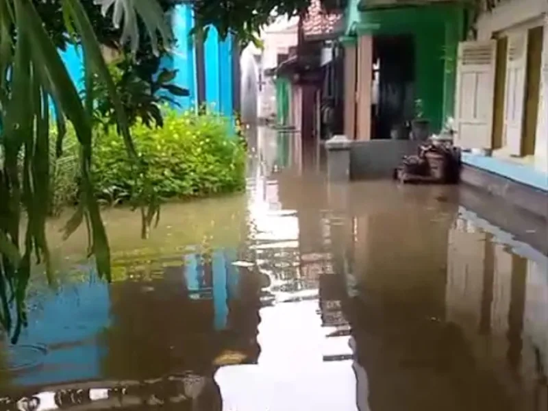 Banjir Kembali Kepung Desa Pesarean Adiwerna, Ratusan Rumah Warga Terdampak