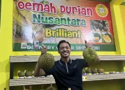 Oemah Durian Nusantara Brilliant Tegal Semakin Diminati Para Penghobi