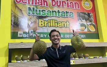 Oemah Durian Nusantara Brilliant Tegal Semakin Diminati Para Penghobi