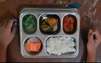 Dari Sawah ke Meja Siswa: Model Makan Siang Sekolah Thailand Dukung Gizi & Petani Lokal