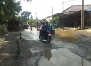 Jalan Rusak Jadi Warisan Keluhan Warga Kabupaten Tegal, Kinerja DPUPR Dipertanyakan