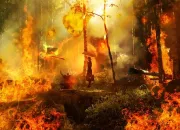 Rumah dan Gerobak Ludes Terbakar, Di Duga Karena Korsleting Listrik