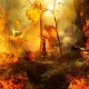 Rumah dan Gerobak Ludes Terbakar, Di Duga Karena Korsleting Listrik