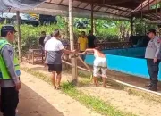 Resahkan Warga, Lokasi Diduga Sabung Ayam  Dibongkar Polres Kebumen