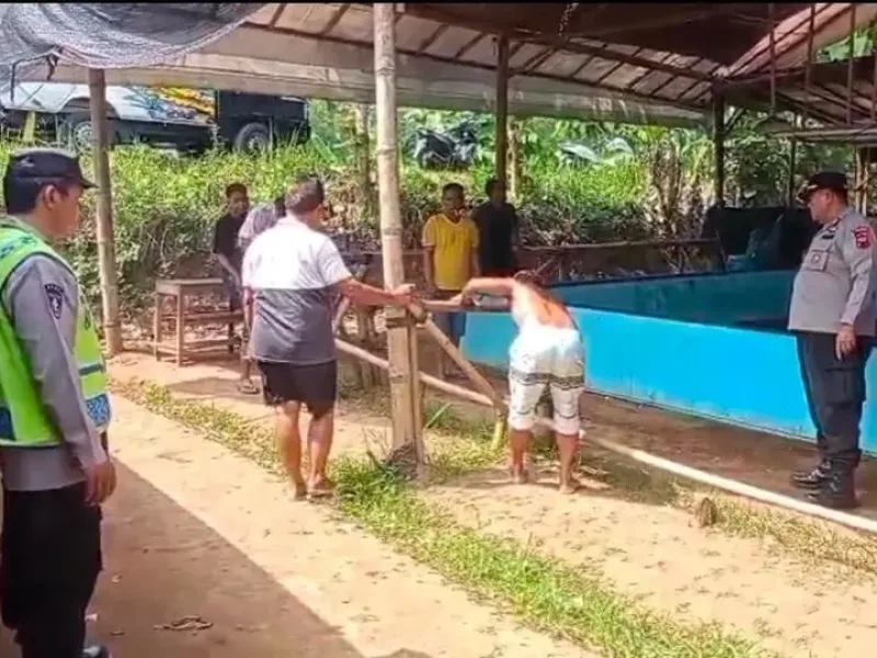 Resahkan Warga, Lokasi Diduga Sabung Ayam  Dibongkar Polres Kebumen