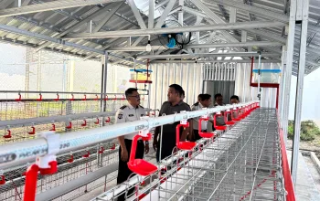 Monitoring Besukan Idul Adha dan Penyembelihan Kurban, Pejabat Kanwil Ditjenpas Jateng Kunjungi Lapas Slawi