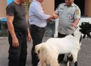 Perumdam Tirta Satria wujudkan syukur dan kepedulian lewat kegiatan Kurban Idul Adha 1447 H.