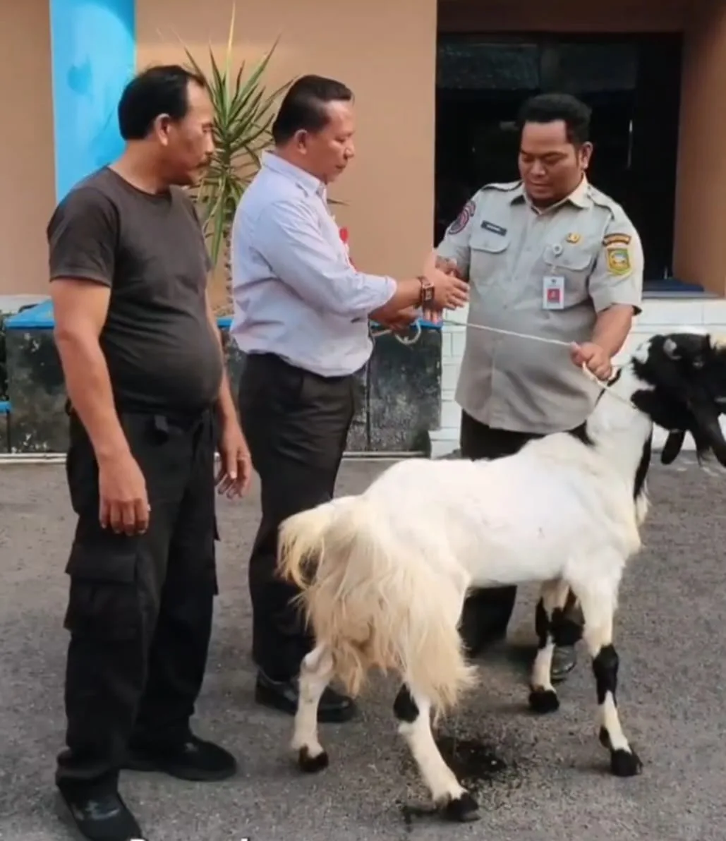 Direktur umum Perumdam Tirta Satria Rudy Sutomo SE sedang menyerahkan hewan kurban.