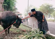 Kurban Sapi Super Jumbo di Rumah Dinas Wabup Tegal, Ahmad Kholid Ajak Warga Peduli Sesama