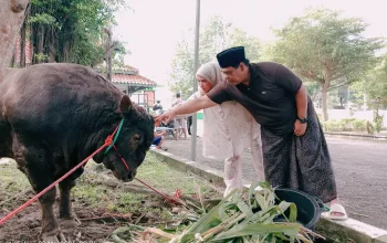 Kurban Sapi Super Jumbo di Rumah Dinas Wabup Tegal, Ahmad Kholid Ajak Warga Peduli Sesama